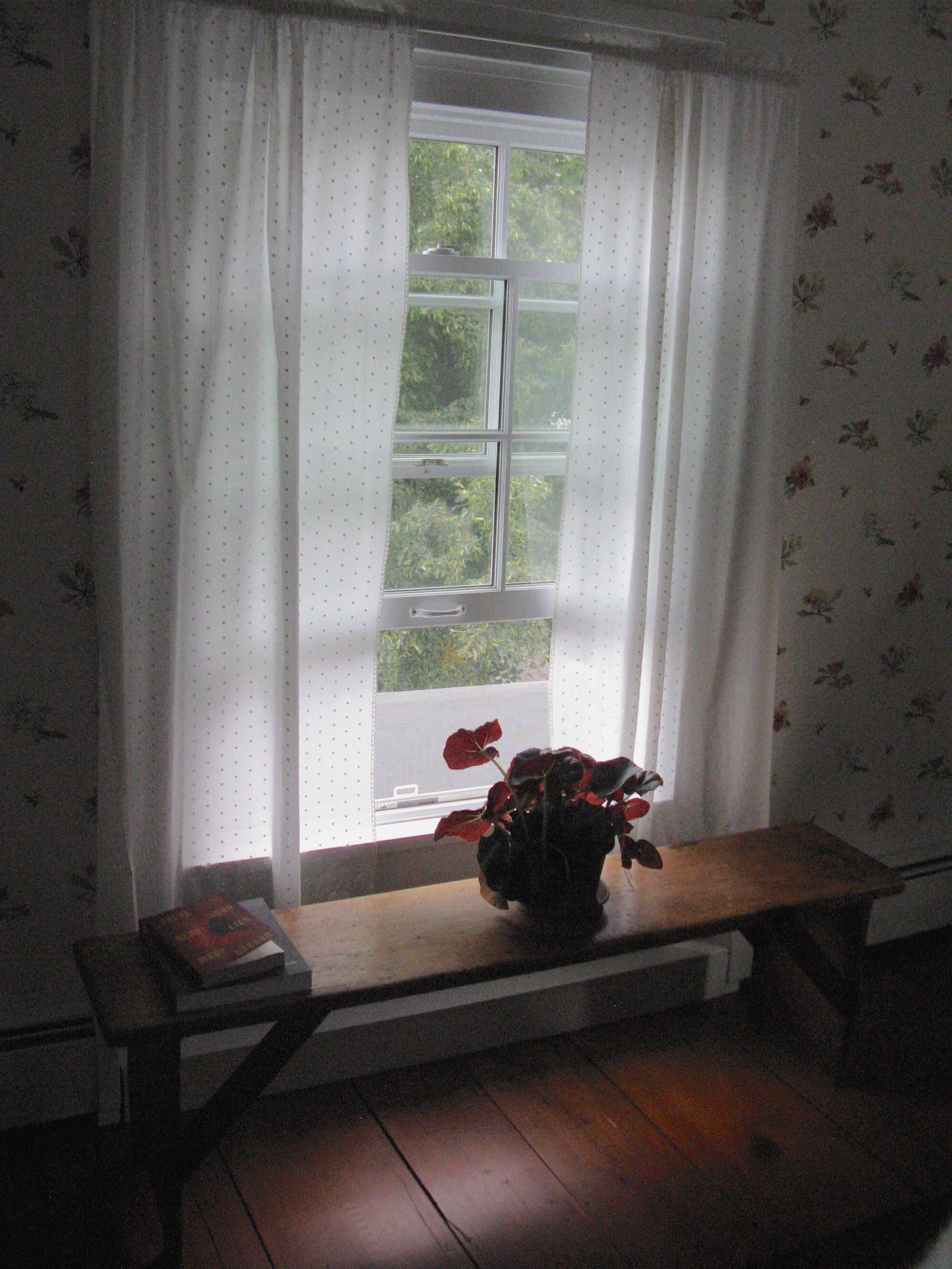 Pine Bench and Window